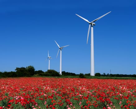 Wind turbines behind the poppy field
