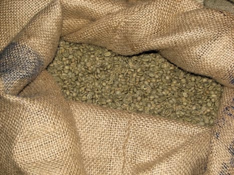 Green Coffee 1