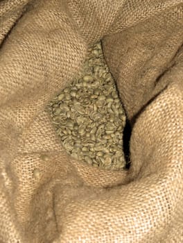 Green Coffee 2