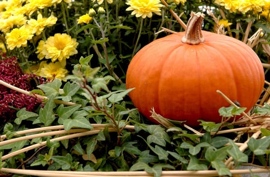 Autumnal