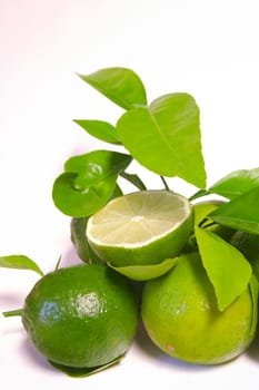 Limes
