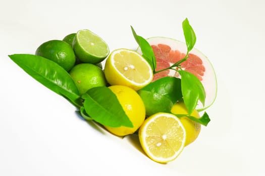 mixed citrus fruits