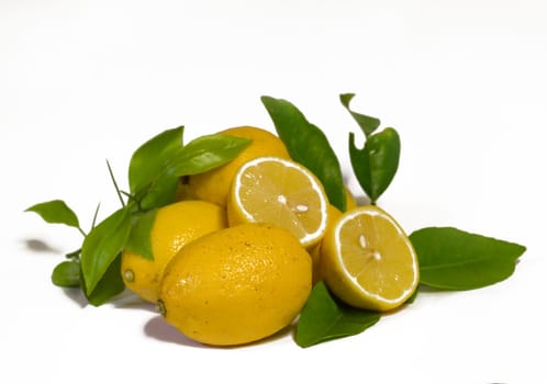 Lemons