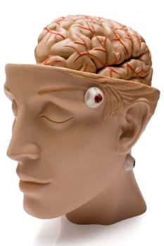 Medical model