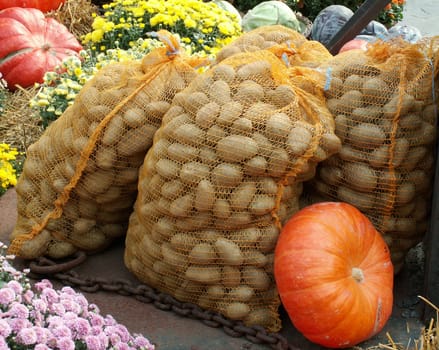 Harvest