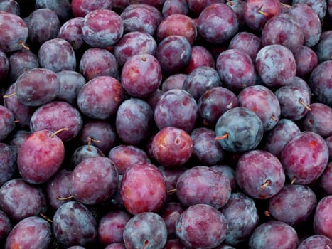 Plums