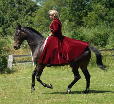 Hanoverians at a gallop