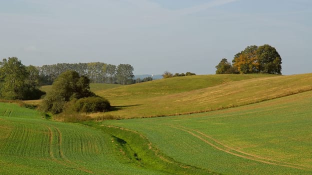 A day in autumn