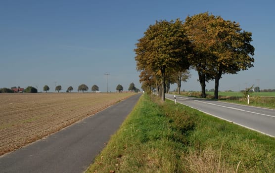 In our immediate vicinity there is a fairly well-developed network of paths for cyclists! I also enjoy our beautiful surroundings very often from my bike until winter! Even if the paths sometimes lead along the road,that doesn't really bother,because it's a
