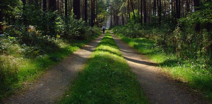 Walk