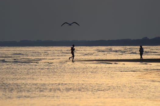 Wadden Walk 02