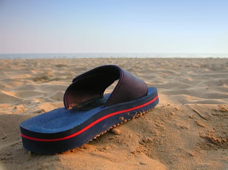 Flip-flops 01