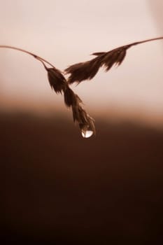 after the rain...