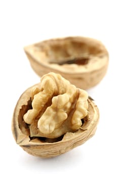 Walnut