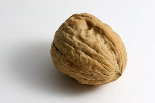 Walnut