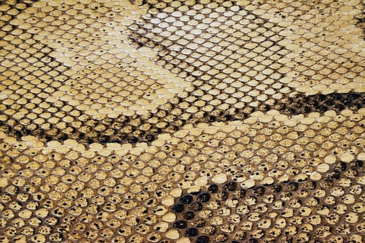 Snakeskin texture