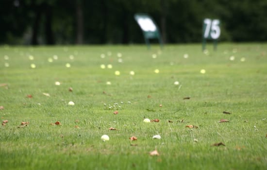 Driving Range