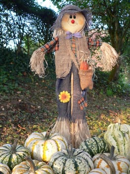 Pumpkin Guardian