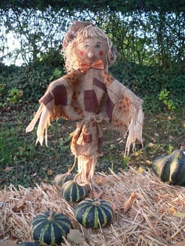 In a potato sack