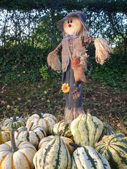 The Pumpkin Män