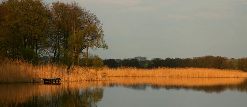 Golden Autumn