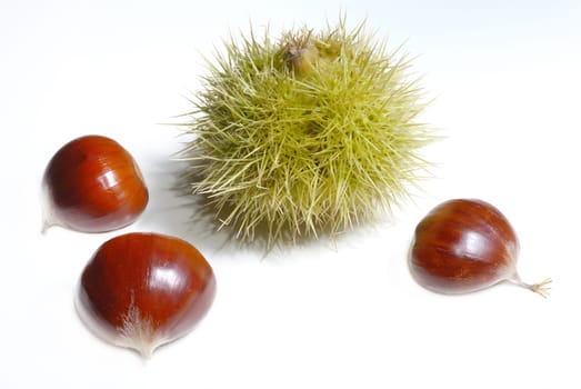 Chestnuts 08