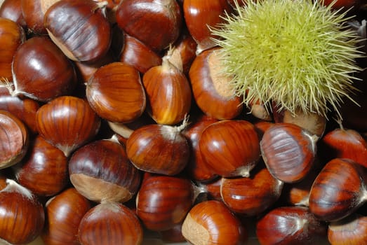 Chestnuts 28