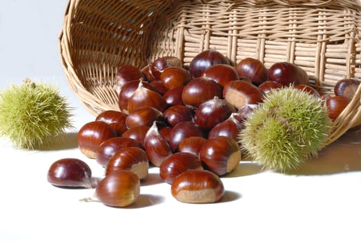Chestnuts 16