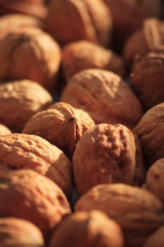 In Greek and Roman mythology,the walnut was considered the food of the gods,where it later gave the botanists the Latin surname regia (royal). In medicine and folk medicine,walnut leaves (tea) are used as a blood purifier