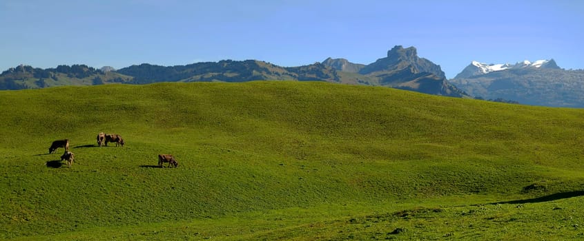 View of the Central Swiss Alps