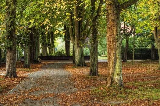 Chestnut Alley