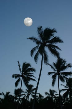 Clear moon in the Caribbean