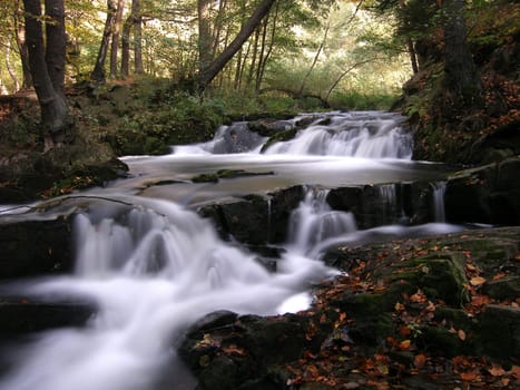 SELKEFALL