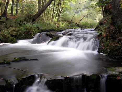 This beautiful stream flows in the Harz Mountains next to the tracks of the Selke Valley Railway.