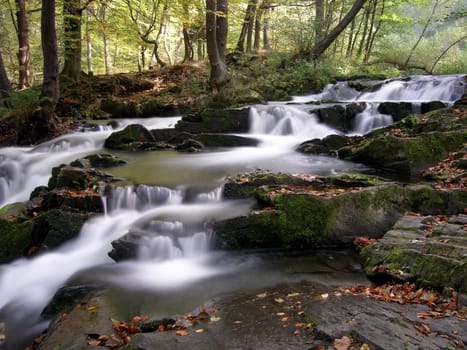 IN THE SELKE VALLEY
