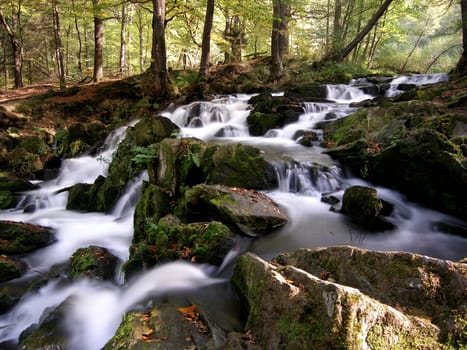 FAIRYTALE FOREST