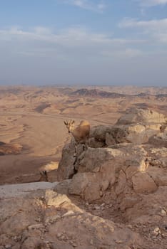 Israeli Desert,Negev