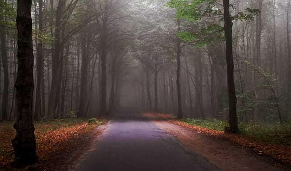 This morning it looks like that again with us-----but it's autumn--------I wish you all a nice day