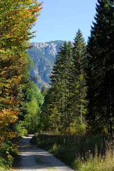 Autumn in the mountains