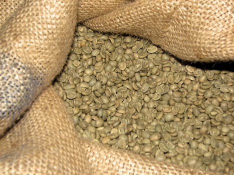 Green Coffee 3