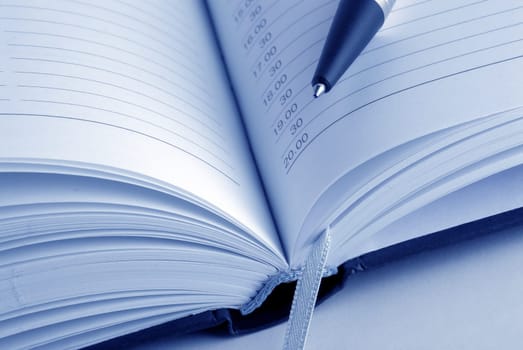 Diary