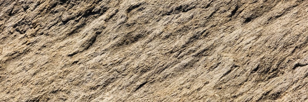 A close up of a rough, cracked rock surface with earthy brown and beige tones. The natural texture and weathered details make it ideal for backgrounds, geology themes, and organic material references.