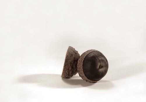 Acorn III