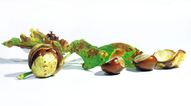 Chestnuts