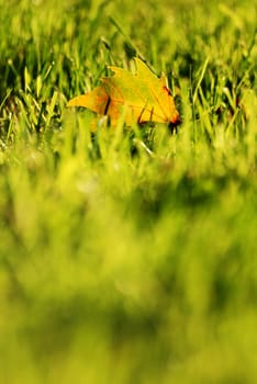 The beginning of autumn