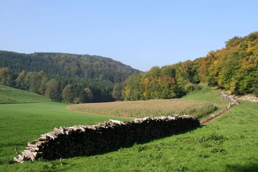 Across the Duhne Valley....
