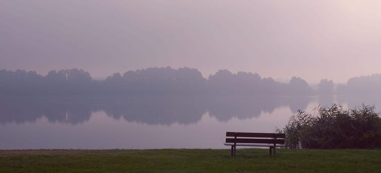 Foggy Morning