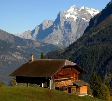 Taken during a hike in the Bernese Oberland. In the background you can see the Wetterhorn,with a height of 3701 meters a rather small mountain in the Bernese Alps.