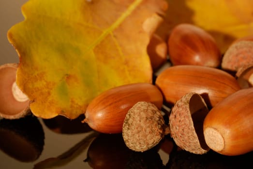 Heralds of autumn