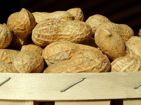 Peanuts
